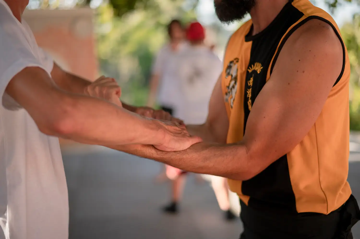 Close-up of two practitioners maintaining contact through the arms and hands during Pushing and Sticky Hands training